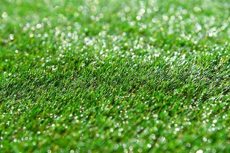 Hire The Right Synthetic Grass Provider For Your Lawn’s New Look!