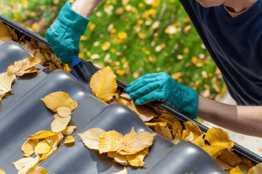 How To Keep Your Gutters Clean?