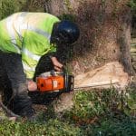 chainsaws for sale
