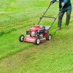 electric lawn mowers