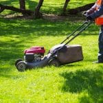 ride on mowers