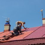 Roof Painting